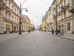 Nowe drzewa na Piotrkowskiej w Łodzi od placu Wolności