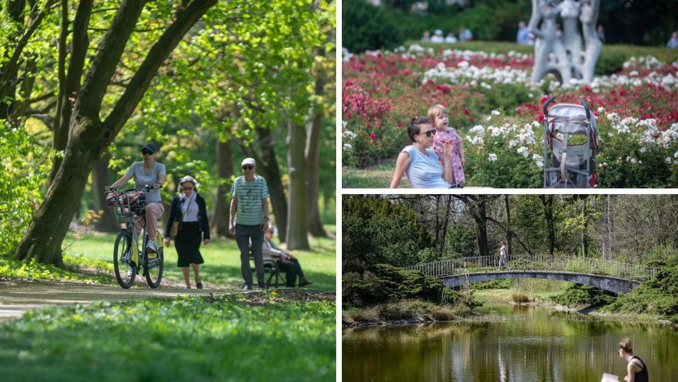Łódź. Zieleń przyjazna alergikom! Miejsca idealne na spacer bez obaw o alergeny