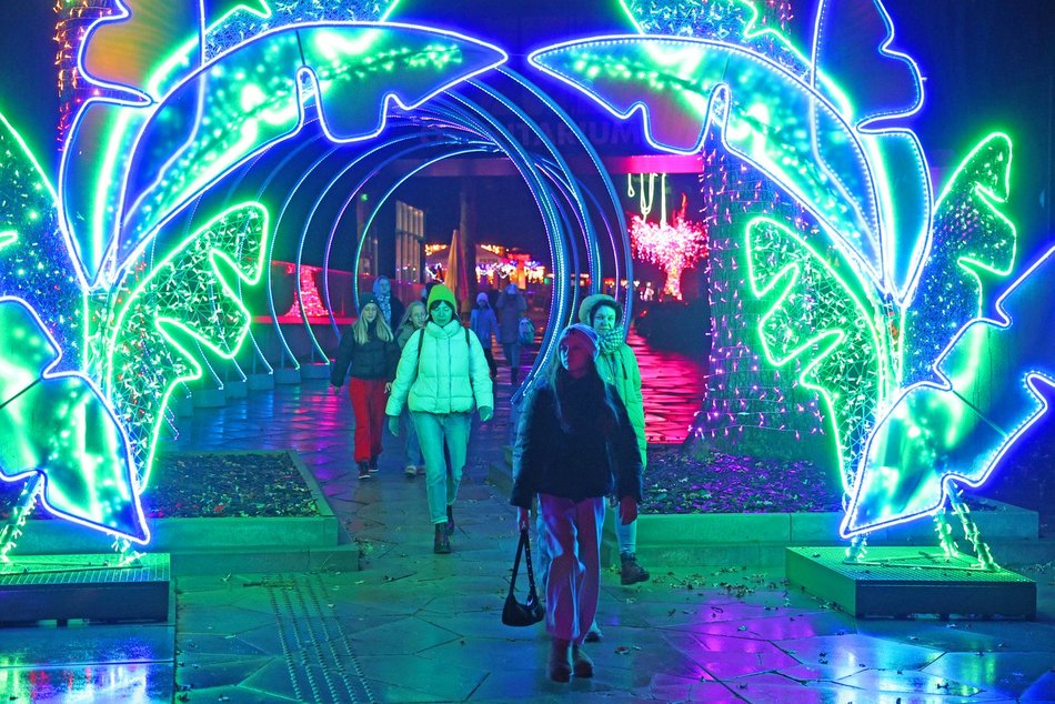 Park Miliona Świateł w Orientarium Zoo Łódź