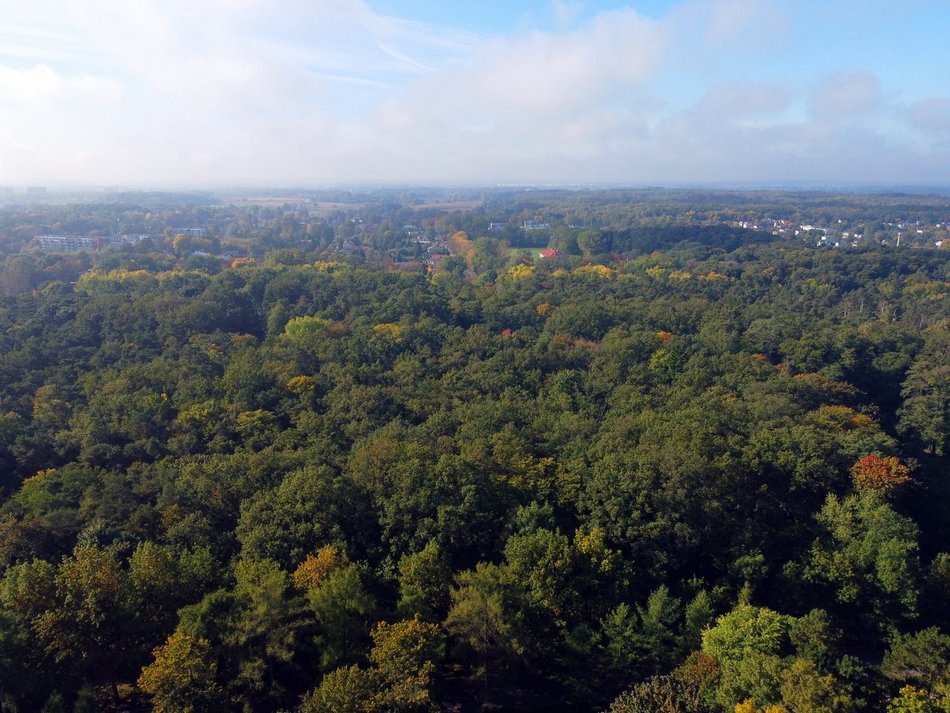 Złota polska jesień w parku na Zdrowiu