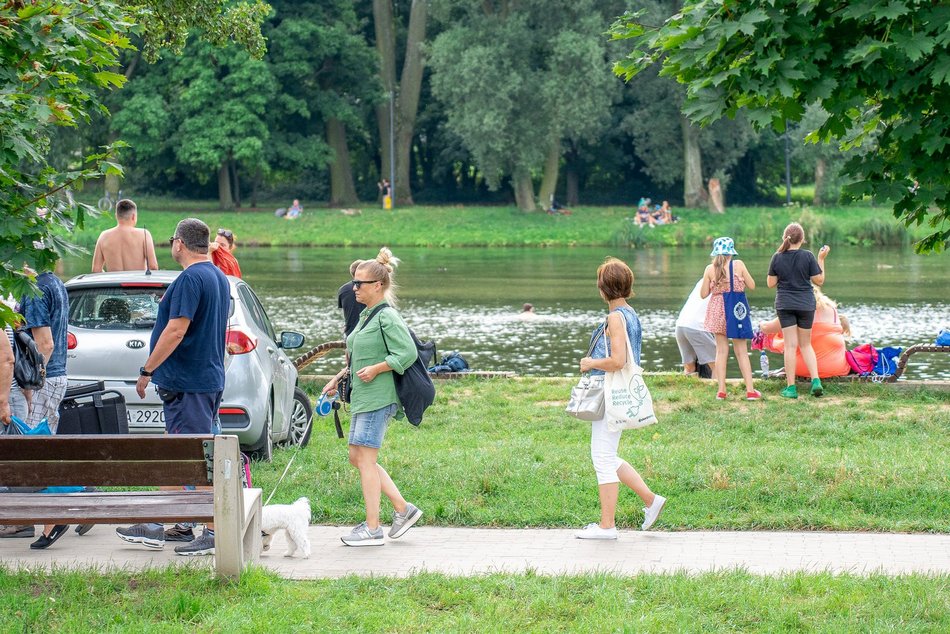 Piknik rodzinny na Stawach Jana