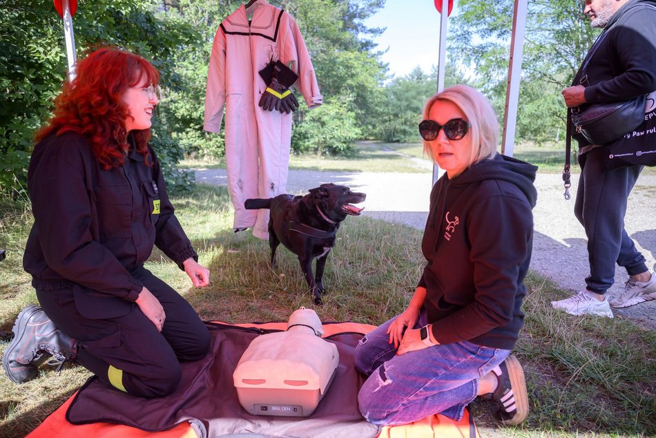 Psiejski piknik rodzinny na Uroczysku Lublinek w Łodzi. Co to była za zabawa!