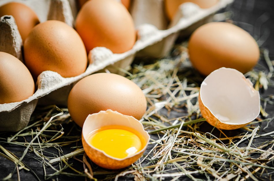 Łódź. Gdzie kupić świeże jajka w Łodzi?