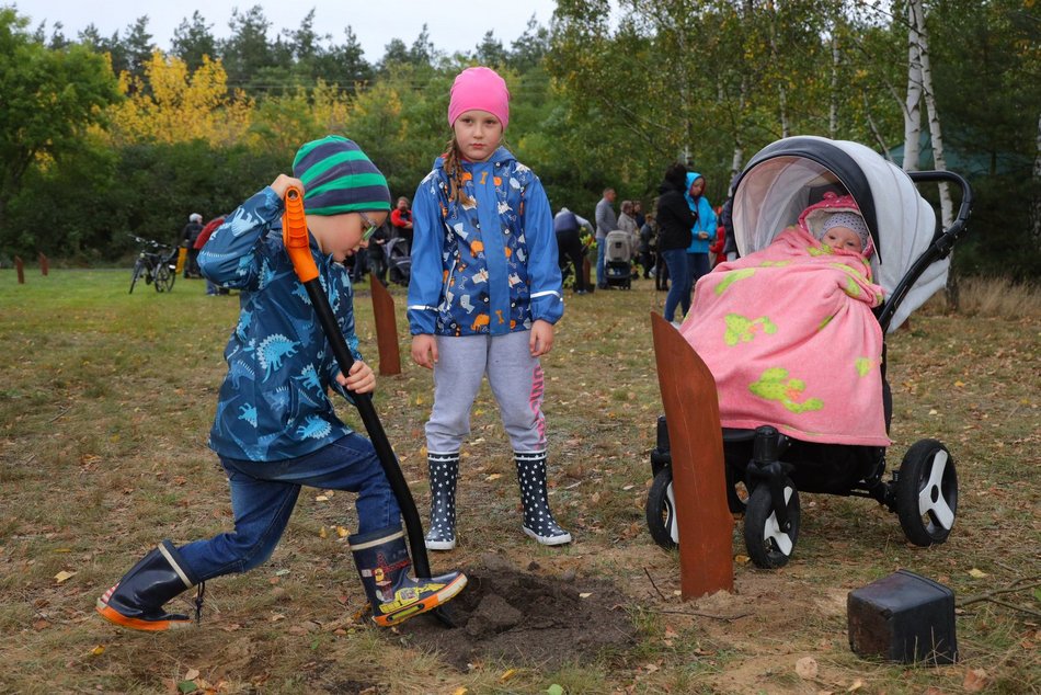 Rozrasta się Las Młodej Łodzi. Sadzenie drzew