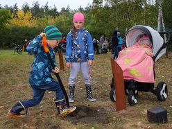 Rozrasta się Las Młodej Łodzi. Sadzenie drzew