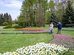 Łódź. Jak ma się rozwijać Ogród Botaniczny w Łodzi? Poznaj harmonogram konsultacji