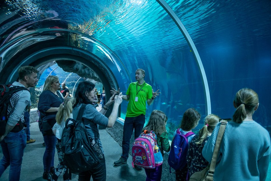 Łódź. Ferie zimowe 2026 w Łodzi. Ruszają zapisy na półkolonie! Oferta, ceny i szczegóły rejestracji