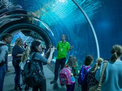 Łódź. Ferie zimowe 2026 w Łodzi. Ruszają zapisy na półkolonie! Oferta, ceny i szczegóły rejestracji