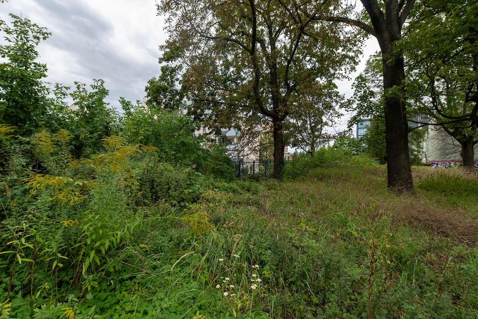 Łódź. Nowy skwer przy Kopcińskiego w Łodzi. Powstanie plac zabaw, wybieg dla psów i spacerowa aleja