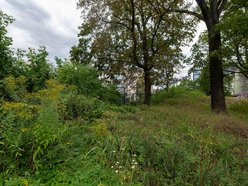 Łódź. Nowy skwer przy Kopcińskiego w Łodzi. Powstanie plac zabaw, wybieg dla psów i spacerowa aleja