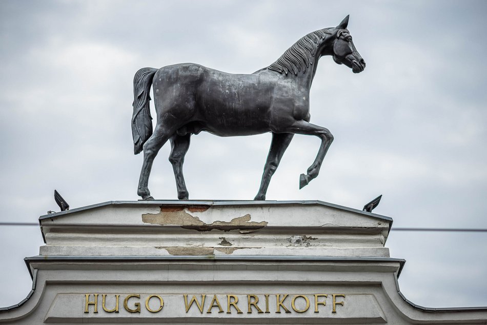 Łódź. „Lecznica pod koniem" na sprzedaż!