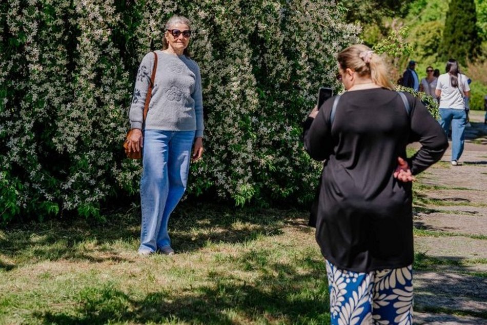 Łódź. Ogród Botaniczny w Łodzi w wiosennej odsłonie