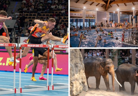 Łódź. Orlen Cup, Aquapark Fala, Orientarium Zoo Łódź