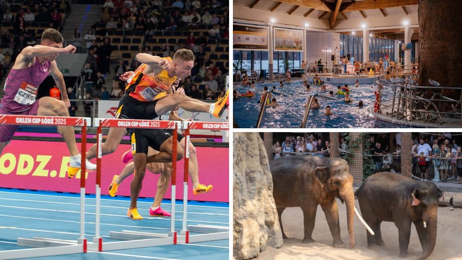 Łódź. Orlen Cup, Aquapark Fala, Orientarium Zoo Łódź