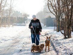 Łódź. Pani Iza i psy adoptowane ze schroniska w Łodzi