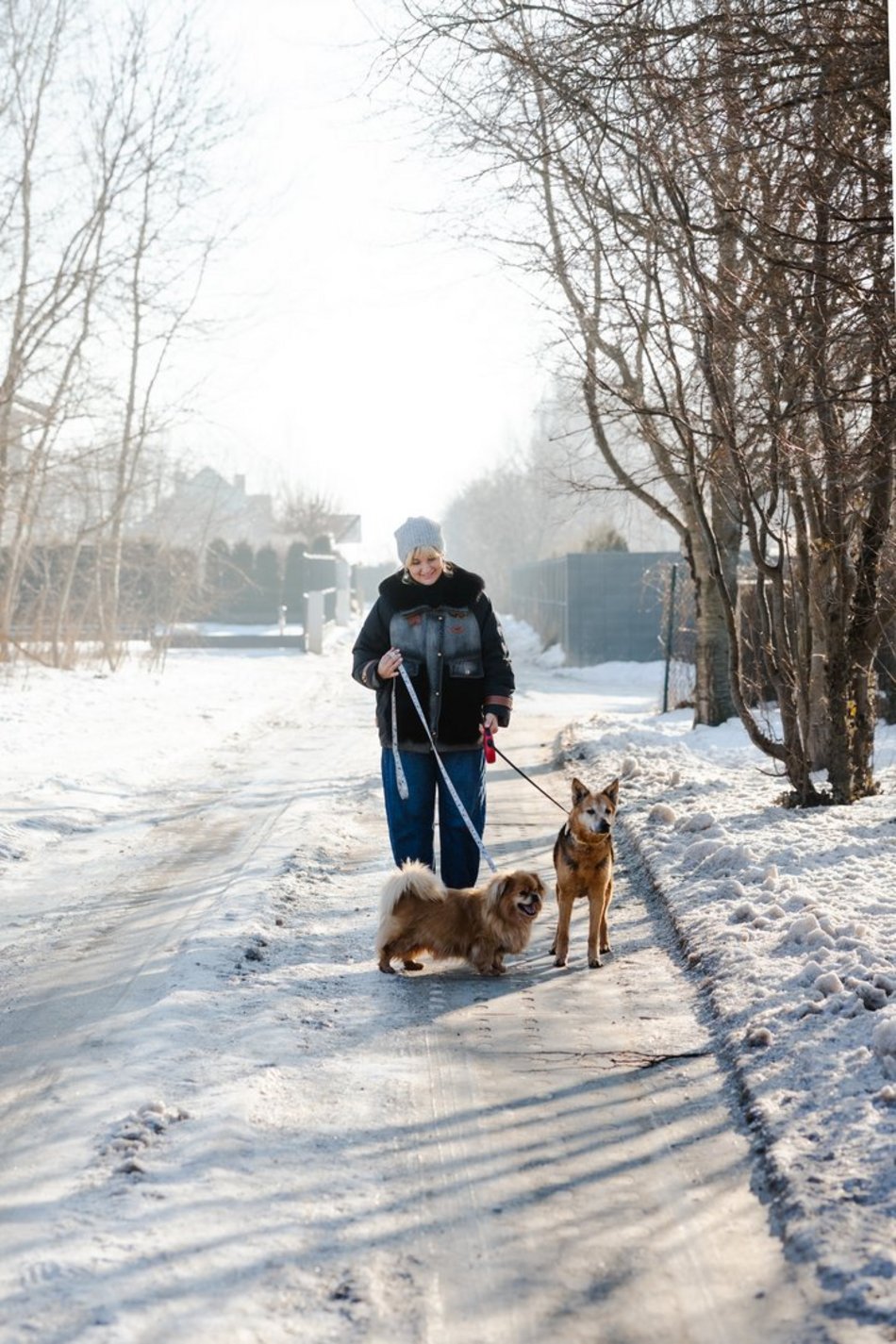 Łódź. Pani Iza i psy adoptowane ze schroniska w Łodzi
