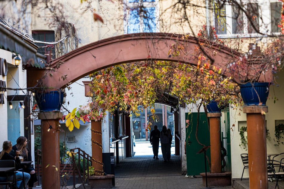 Najpiękniejsze jesienne podwórko w Łodzi? Zajrzyj na Piotrkowską 67!