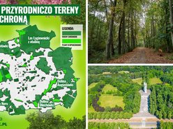 Łódź. Lasy i doliny rzek w Łodzi pod ochroną! Ponad połowa miasta objęta planami miejscowymi!