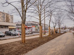 Remont Zaolziańskiej w Łodzi. Zobacz, jak drogowcy pracują nad nową jezdnią