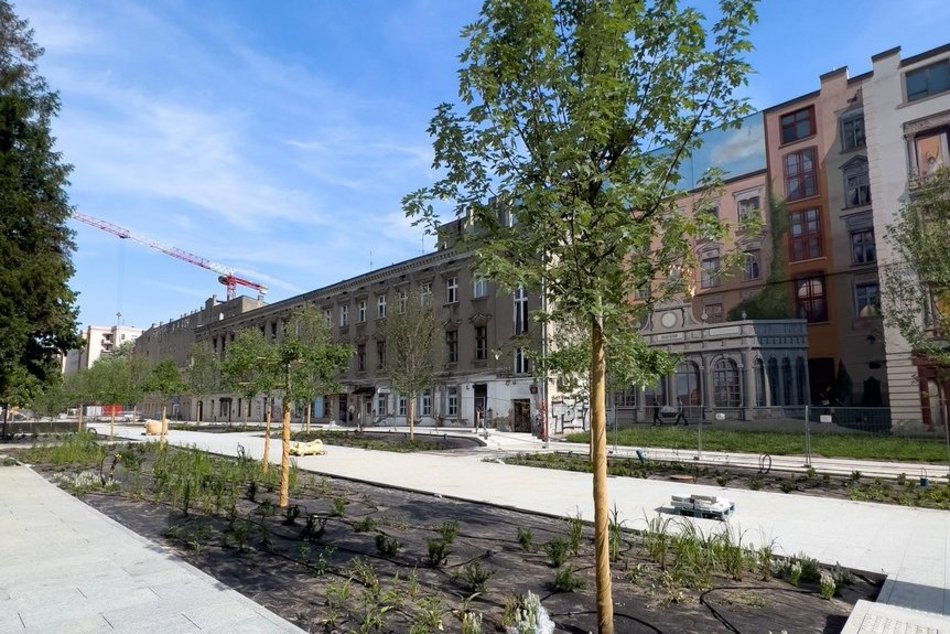 Remont pasażu Schillera, sadzenie drzew
