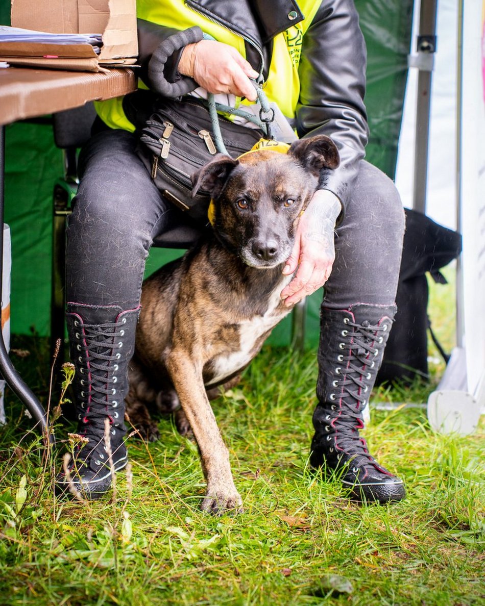 Łódź. Deszcz nikogo nie wystraszył! Piknik z Budżetem Obywatelskim Łódź