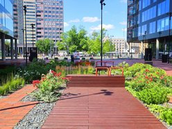 Łódź. Zieleń przy Bramie Miasta w Łodzi. Chwila oddechu w samym centrum