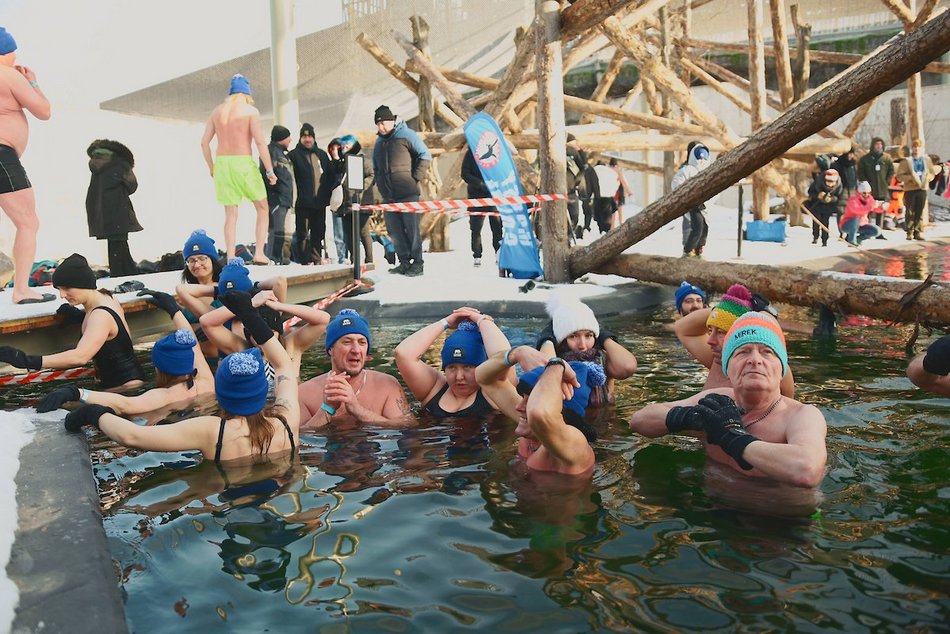 Łódź. Miłośnicy zimnych kąpieli w Orientarium Zoo Łódź