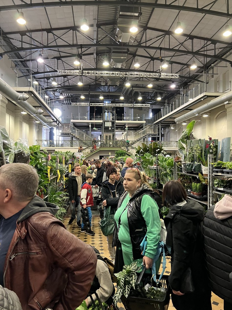 Festiwal Roślin w EC1 Łódź