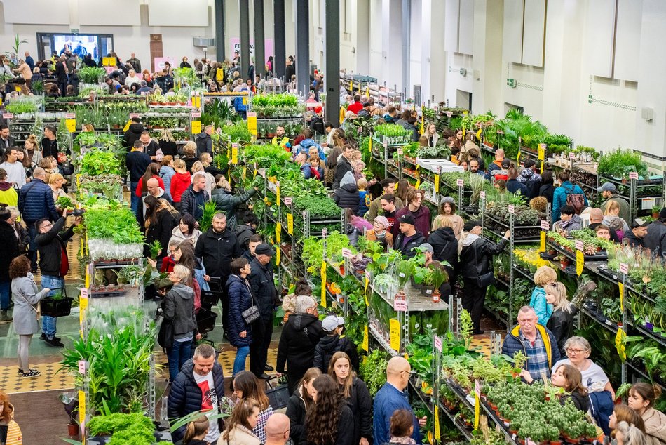 Festiwal Roślin w EC1 Łódź