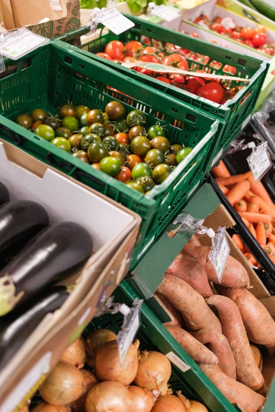 Łódź. Bazar smaku w Ogrodach Geyera w Łodzi przyciąga smakoszy! Zdrowa żywność dla każdego