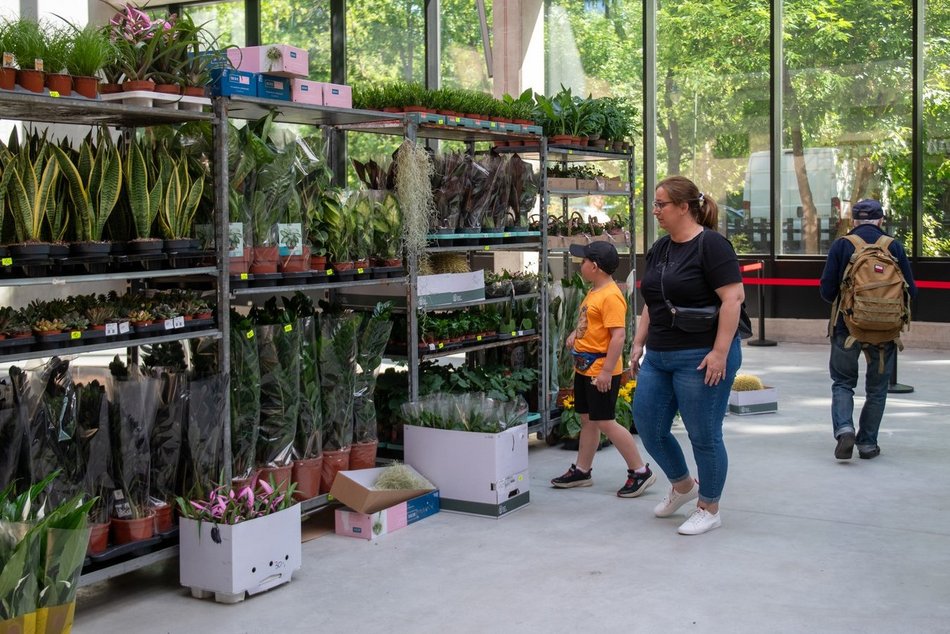 Pierwsze Targi roślin egzotycznych w Orientarium Zoo Łódź. Ale okazy!