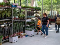 Pierwsze Targi roślin egzotycznych w Orientarium Zoo Łódź. Ale okazy!