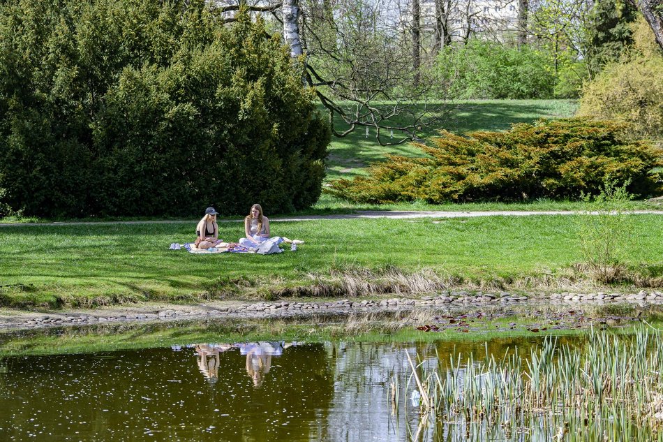 Park Poniatowskiego w Łodzi zachwyca soczystą zielenią. Zdecydujesz się na spacer?