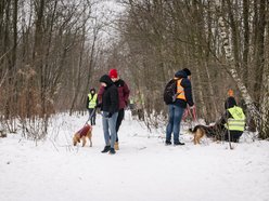 Łódź. Psy ze schroniska w Łodzi znów na spacerze! Dla tych wesołych pyszczków aż chce się chodzić!