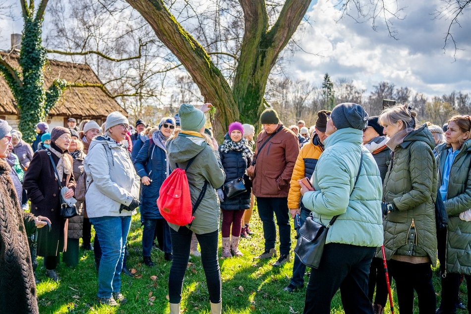 Poznaj świat szyszek w Ogrodzie Botanicznym w Łodzi. Spacer z przewodnikiem