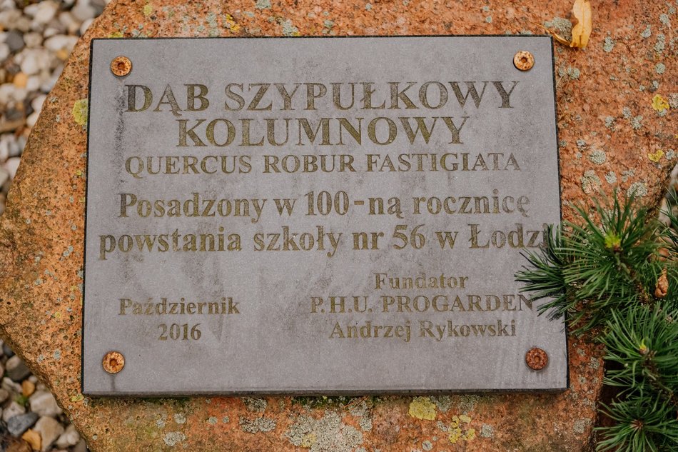 Dziedziniec przy Szkole Podstawowej nr 56 w Łodzi