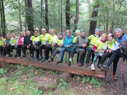 nordic walking