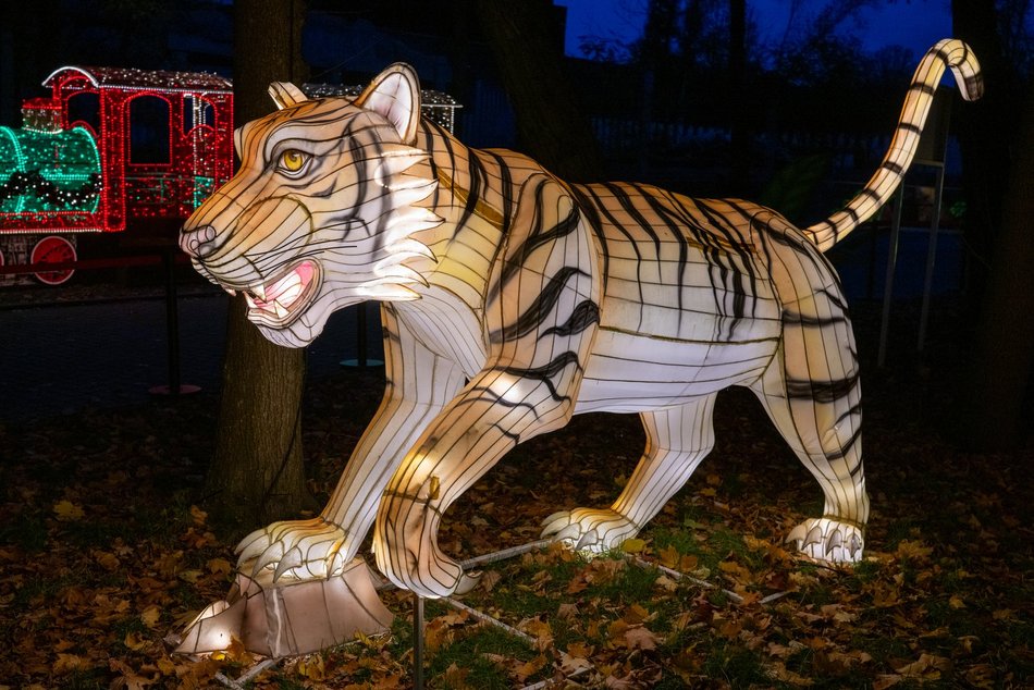 Park Miliona Świateł w Łodzi otwarty! Magiczne zwierzęta opanowały Orientarium Zoo Łódź