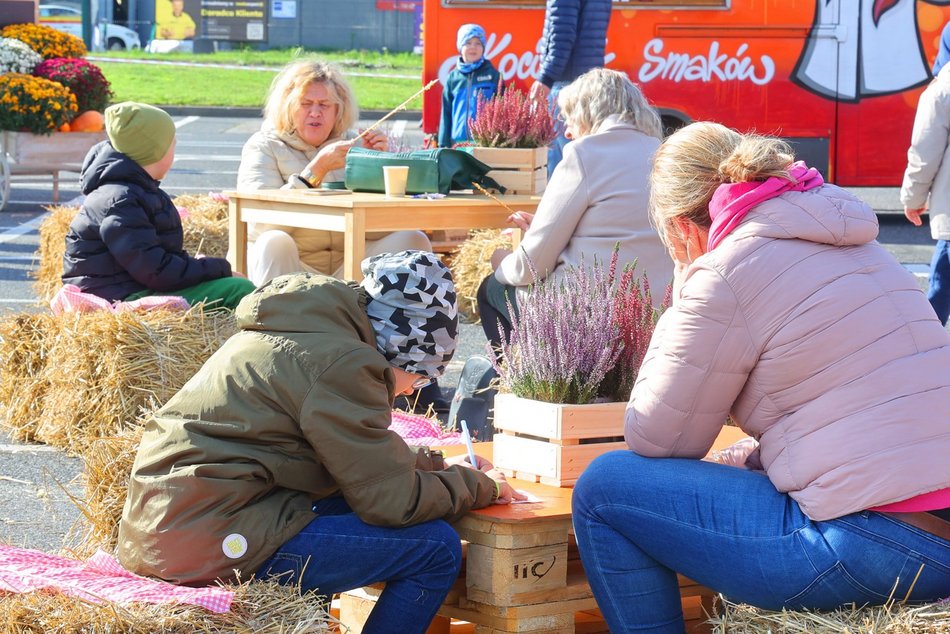 Farma Dyniowa w Pasażu Łódzkim