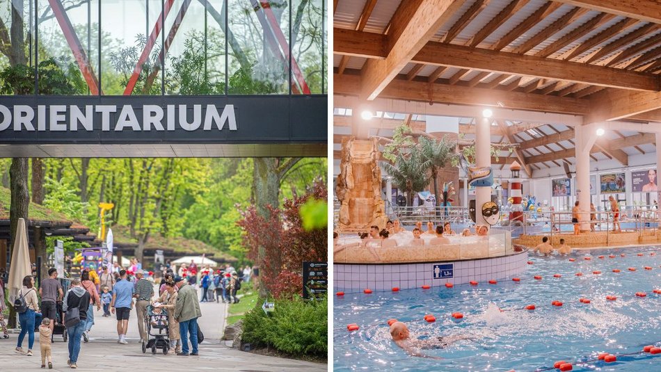 Łódź. Studencki październik w Orientarium Zoo Łódź i Aquaparku Fala. Skorzystaj z wyjątkowych promocji!