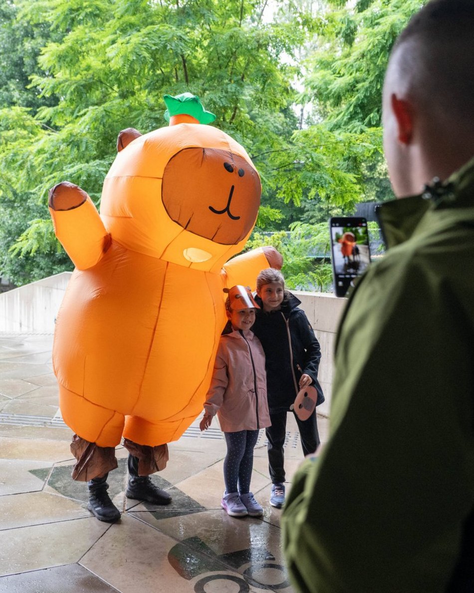 Łódź. Zlot Fanów Kapibary w Orientarium Zoo Łódź. Świetna frekwencja mimo niepogody