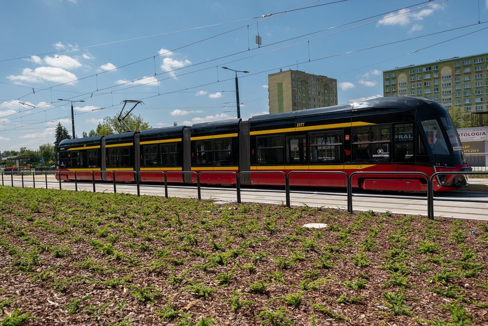 Łódź. Pierwszy tramwaj MPK Łódź na Śmigłego-Rydza. Kiedy „13” wróci na krańcówkę Niższa?