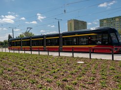 Łódź. Pierwszy tramwaj MPK Łódź na Śmigłego-Rydza. Kiedy „13” wróci na krańcówkę Niższa?