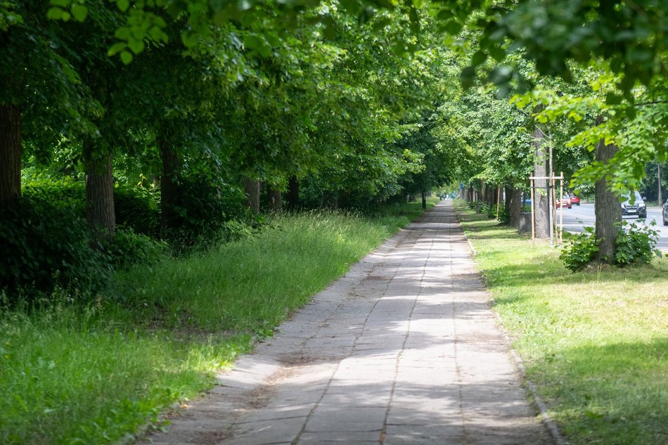 Łódź. Nowa droga rowerowa przy Unii Lubelskiej w Łodzi. Start prac już w wakacje!