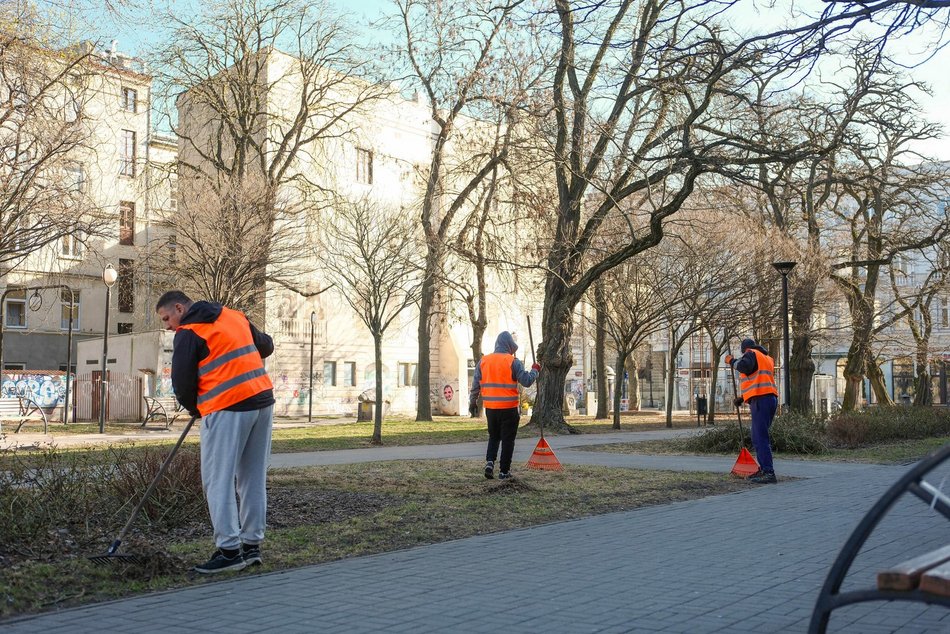 Łódź. Wiosenna pielęgnacja drzew w Łodzi. Dlaczego jest potrzebna?