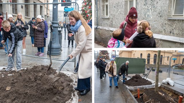 Drzewa na Piotrkowskiej w Łodzi posadzone! Łodzianie uczestniczyli w imprezie [ZDJĘCIA] 