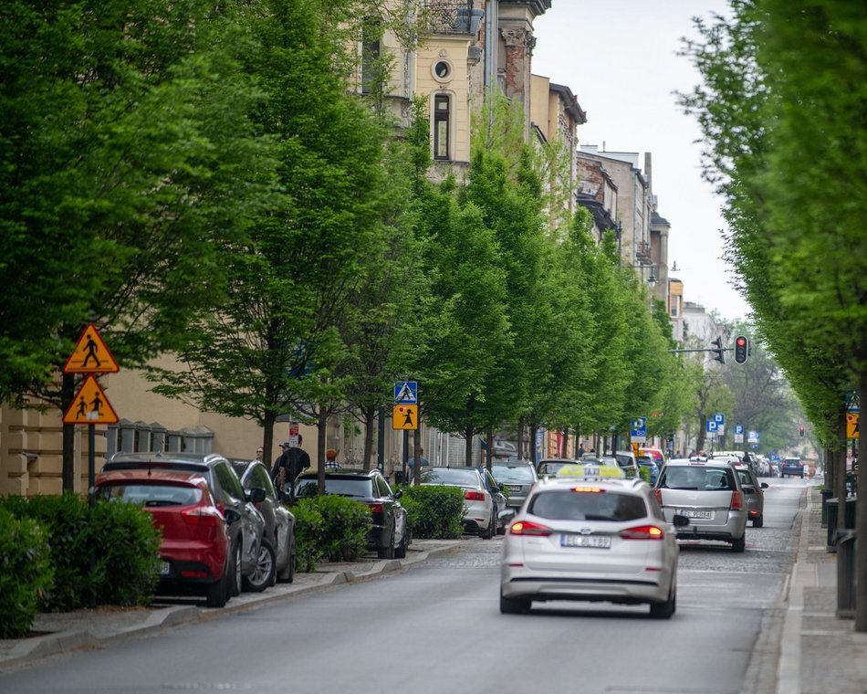 Łódź. Drzewa przy ul. Rewolucji 1905 r. w Łodzi