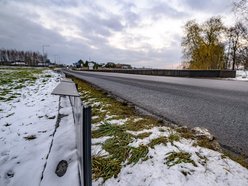 Kumamy żaby! Andrzejów w Łodzi wie, jak ochronić je przed pędzącymi samochodami