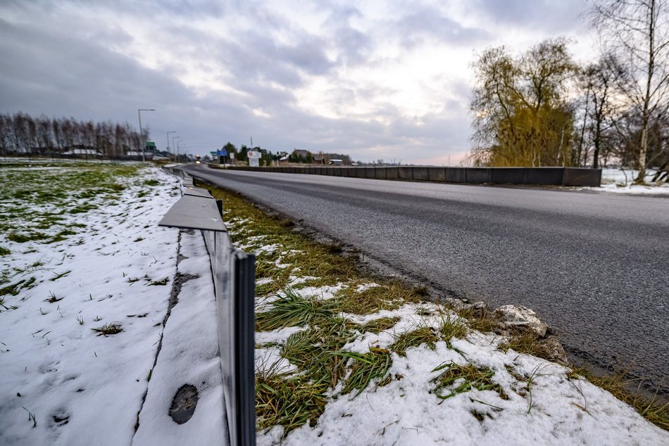 Kumamy żaby! Andrzejów w Łodzi wie, jak ochronić je przed pędzącymi samochodami