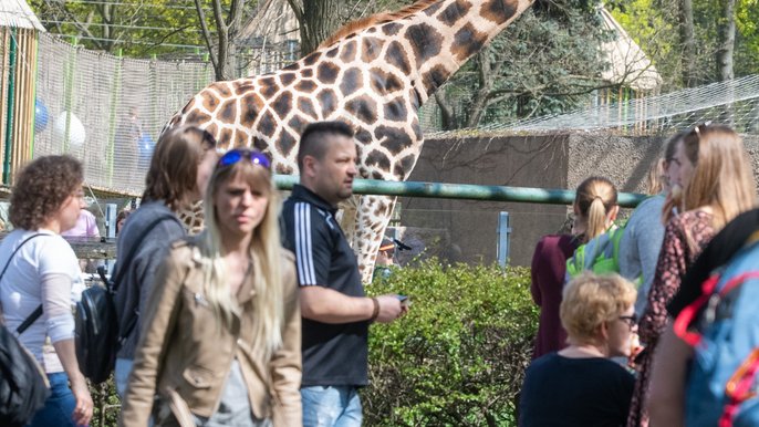 Orientarium Zoo Łódź otwarte dłużej! Zwiedzaj i baw się do wieczora